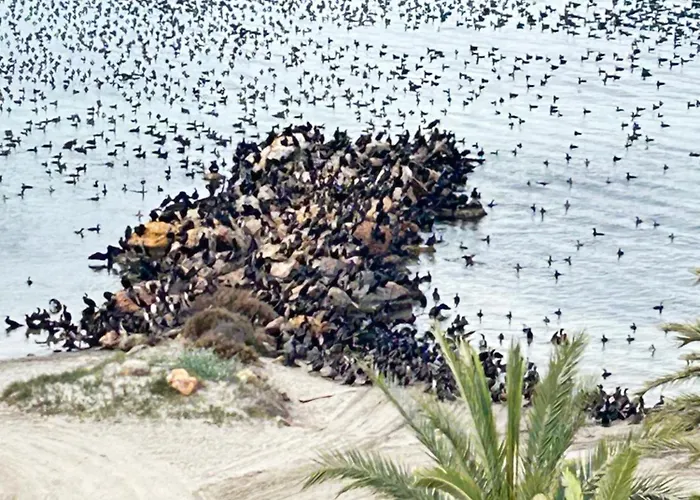 Apartman La Casa De Atardeceres La Manga del Mar Menor